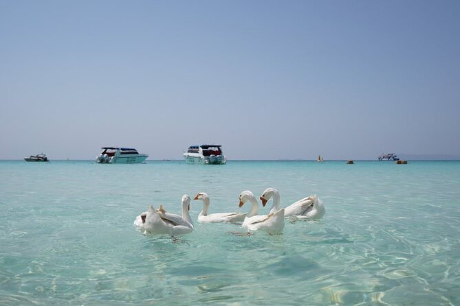 Premium Coral Island Pattaya by Speed boat - What’s Included and What’s Not