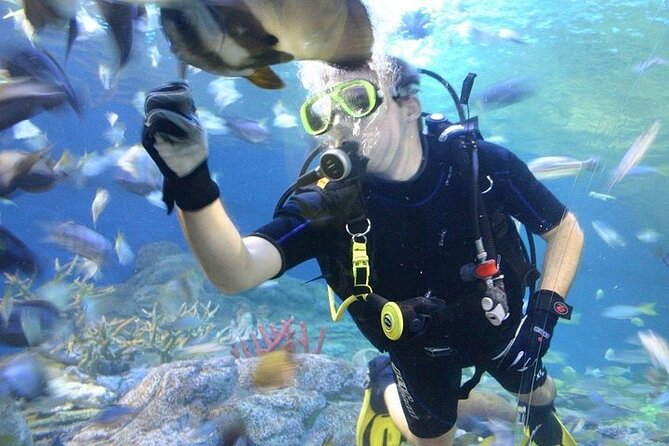 Underwater World in Pattaya Admission Ticket - Who Should Consider This Experience?