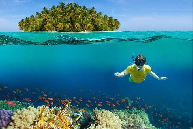 Pattaya: Coral Island Tour with Water Sports, Lunch & Pickup Drop - Practical Insights for Travelers