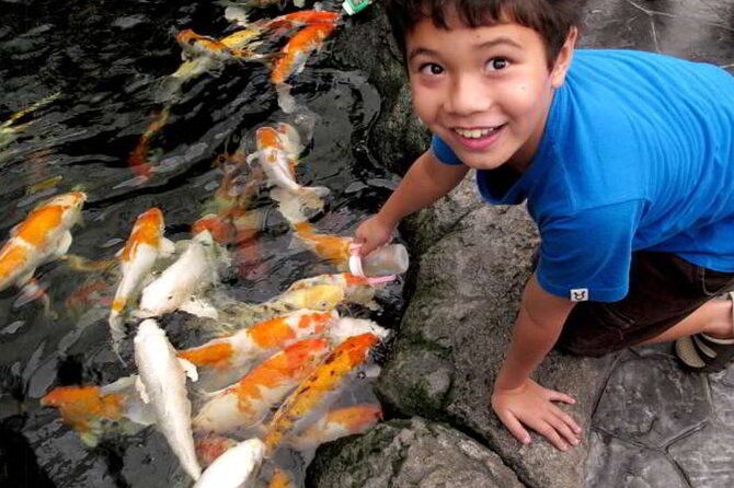 Pattaya Underwater World Admission Ticket - The Experience: What You Can Expect at Pattaya Underwater World