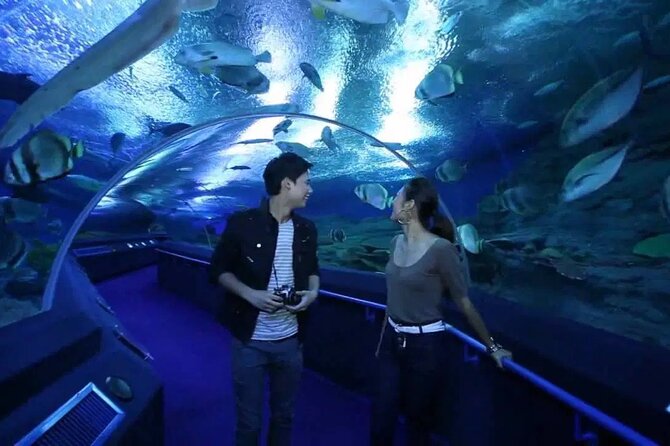 Pattaya Underwater World Admission Ticket - The Informative Touch
