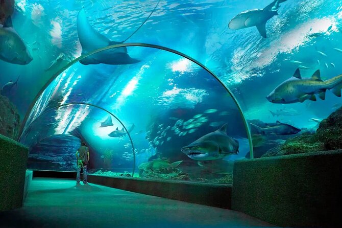 Pattaya Underwater World Admission Ticket - Practical Tips for Visiting Pattaya Underwater World