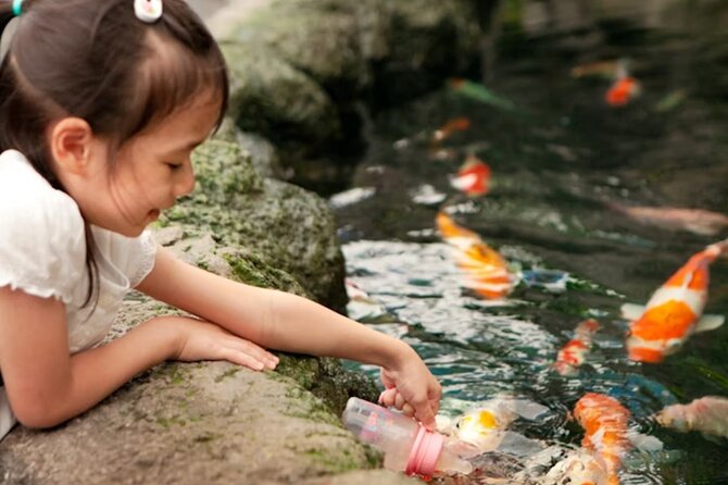 Pattaya Underwater World Admission Ticket - The Sum Up