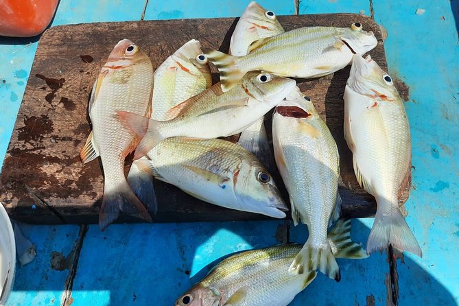 Private Boat Big Game Fishing Day Trip From Koh Samui - Practical Details & Tips