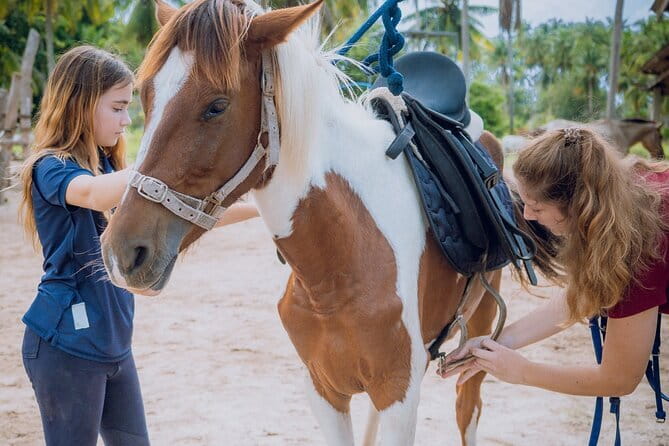 Horse Riding and Beach Trails on Koh Samui - The Itinerary — What to Expect