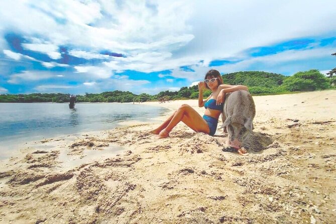 Pig Island (Koh Mudsum) and Koh Tan Tour with Meal from Koh Samui - Authentic Encounters and Authentic Experiences