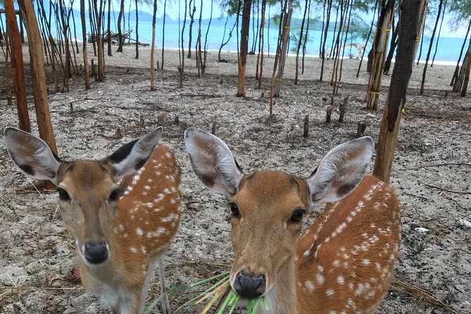 Full day Private Charter to the Southern Islands - The Sum Up