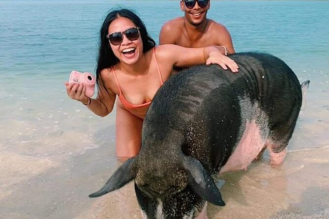 kohsamui.tours - Pig Island Snorkeling Eco Tour by Speed Boat - What You’ll Love About This Tour