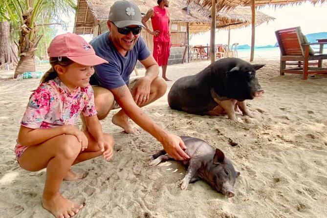kohsamui.tours - Pig Island Snorkeling Eco Tour by Speed Boat - The Heart of the Tour: A Step-by-Step Breakdown