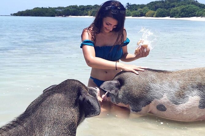 kohsamui.tours - Pig Island Snorkeling Eco Tour by Speed Boat - Potential Drawbacks and Considerations