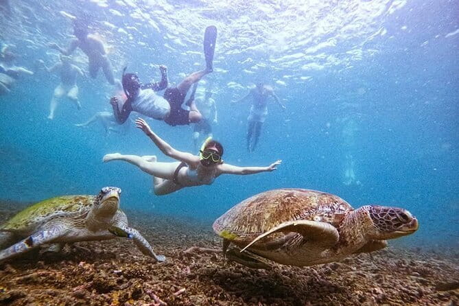 VIP Samui to Nangyuan and TAO adventures Island Tour - Key Points