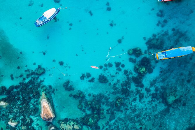 Snorkel Adventure to Ko Tao and Ko Nang Yuan from Ko Samui - Authentic Experiences and Honest Feedback