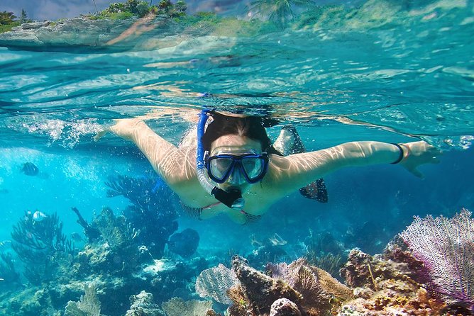 Koh Tao & Koh Nangyuan Snorkeling Tour by Speedboat from Ko Samui - Is This Tour Worth It?