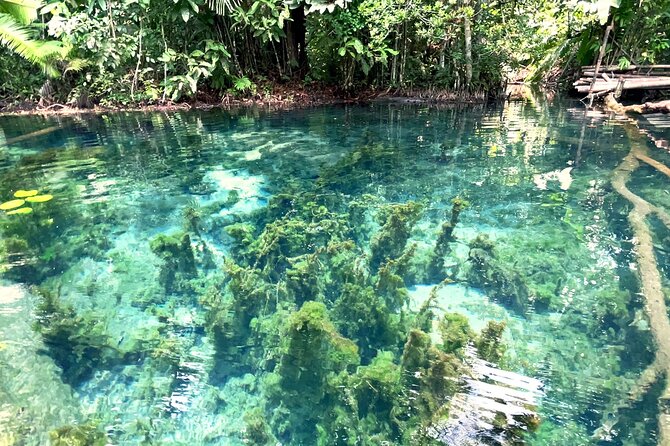 Ao Nang Kayaking at Klong Rud with Hotel Transfer - What Makes This Tour Stand Out?