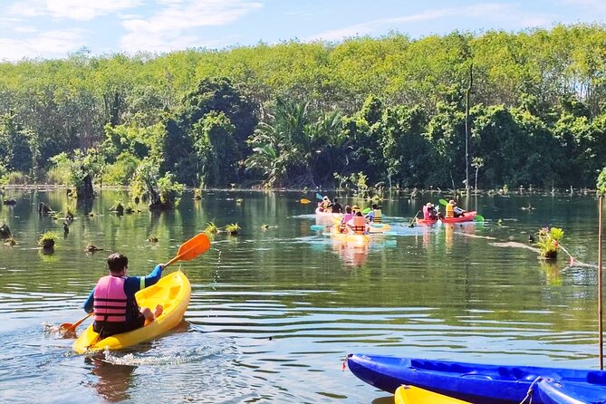Ao Nang Kayaking at Klong Rud with Hotel Transfer - The Practicalities: Price, Duration, and Transportation