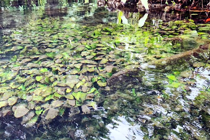 Ao Nang Kayaking at Klong Rud with Hotel Transfer - FAQ