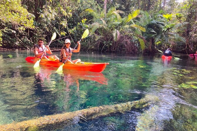 Kayaking Klongroot-Klongnamsai - What to Expect from the Tour Itinerary