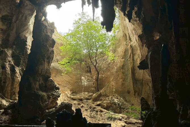 Krabi Khao Khanab Nam Jurassic World Tour with Mangroves - The Sum Up: Is It Worth It?