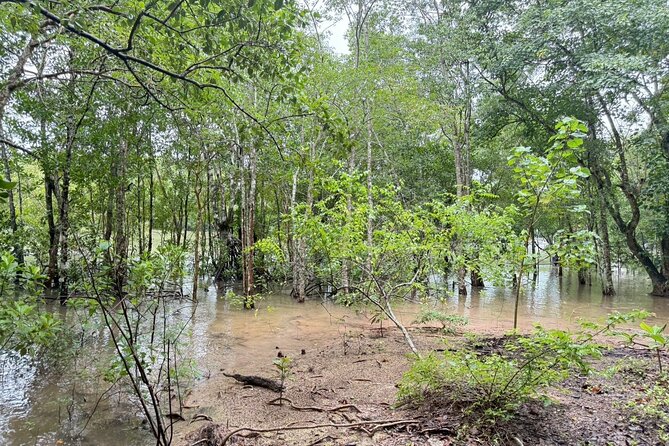 Krabi Khao Khanab Nam Jurassic World Tour with Mangroves - Who Will Love This Tour?