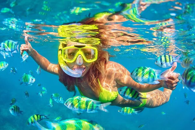 Krabi Hong Island Sunset Tour with BBQ & Night Plankton Swim - A Complete Guide to the Krabi Hong Island Sunset Tour with BBQ & Night Plankton Swim