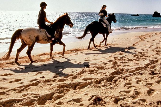 Krabi Horse Riding at Ao Nam Mao Beach - An Authentic Horseback Ride Along Krabi’s Ao Nam Mao Beach