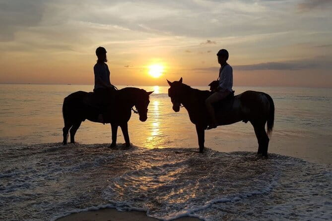 Sunset Beach Horseback Ride Phuket - A Step-by-Step Look at the Experience