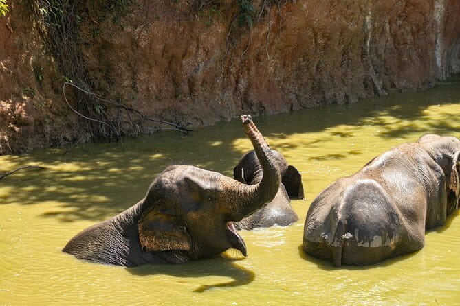 Sunset Beach Horseback Ride Phuket - Practical Tips for Your Ride