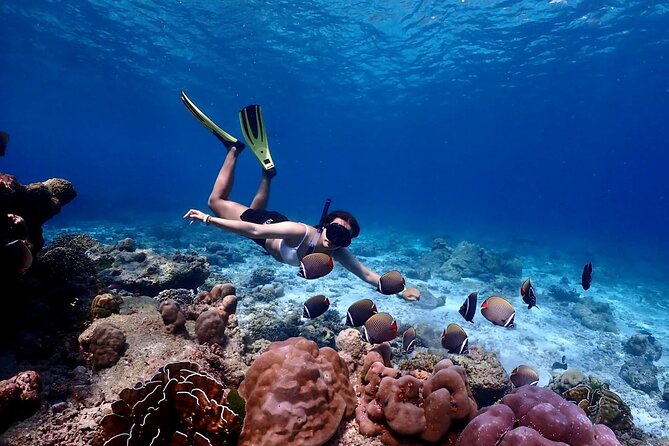 Lazy Similan Islands Marine Journey by Speedboat from Phuket - Who Should Consider This Tour?