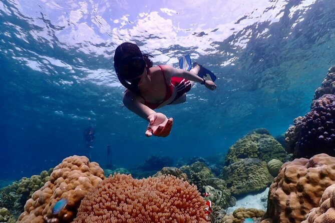 Khao Lak to Similan Islands Lazy Snorkeling by Speedboat - Practical Details and What They Mean for You