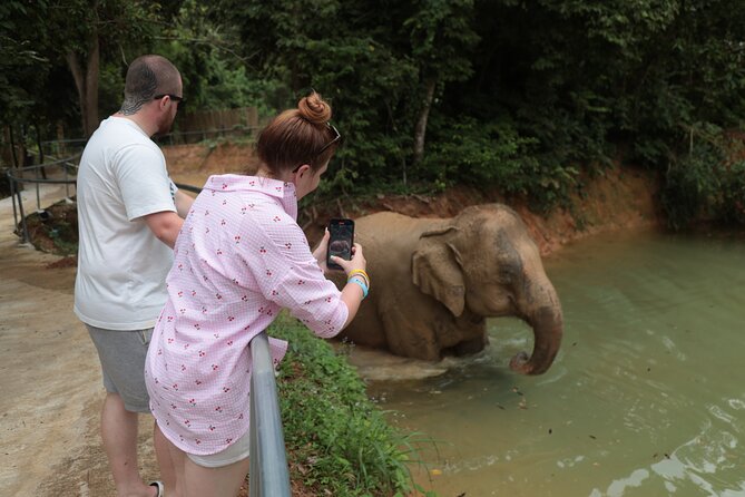 Phuket Elephant Sanctuary Observation and Cooking Class - Frequently Asked Questions