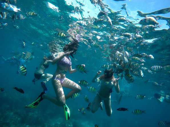 Full-Day Racha Noi and Racha Yai Snorkeling from Phuket - FAQ