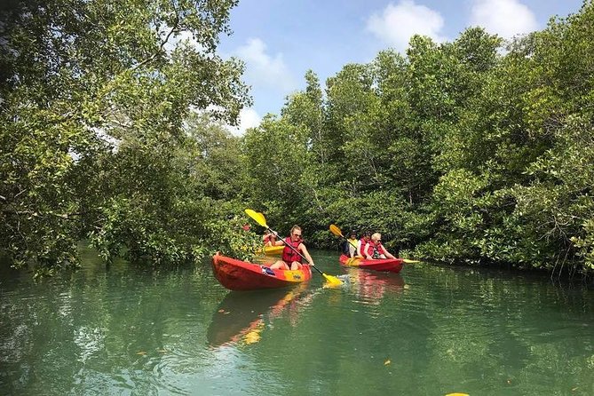 4-Waters Eco-Adventure Trip from Phuket Including Lunch - Authentic Insights from Reviews