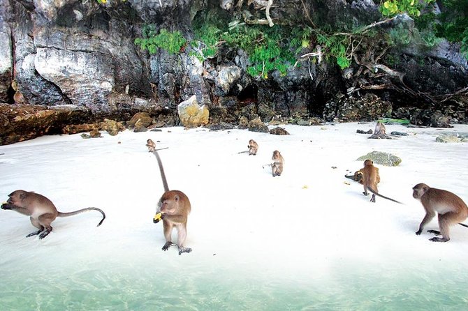 Private VIP Speed Boat to Phi Phi & Bamboo Islands - FAQs