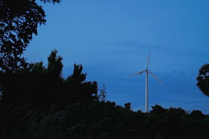 Uncover the Magic of Phuket City Tour - FAQs