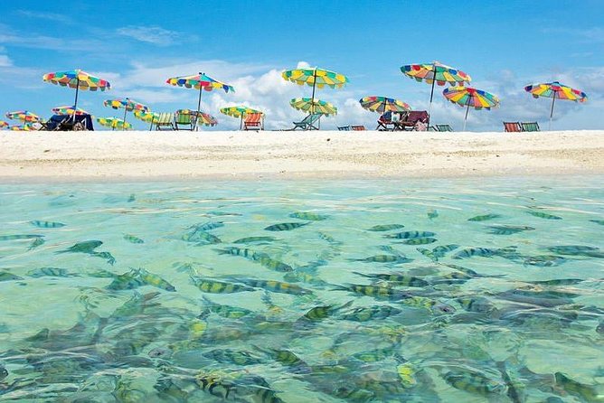 Half Day 3 Koh Khai Islands - Who Is This Tour Best For?