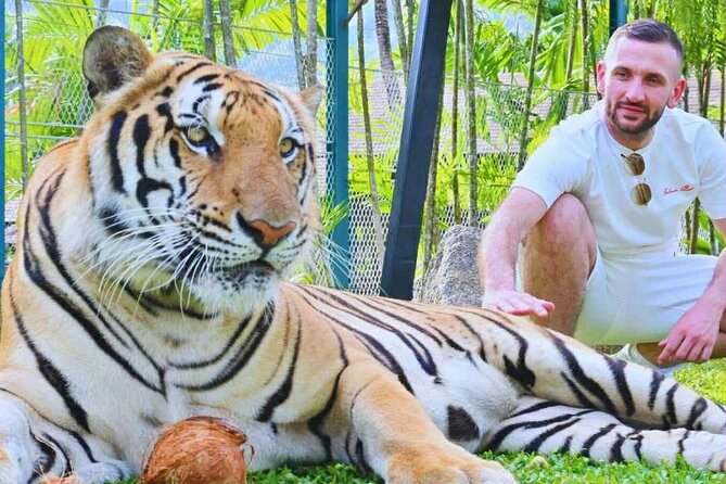 Phuket City tour with Tiger Experience (Best Seller) - Who Will Love This Tour?