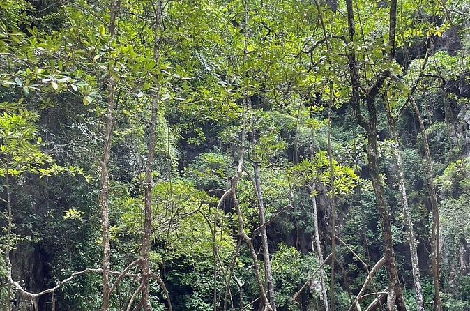 Jamesbond Island Canoeing Trip by Big Boat - Final Thoughts: Is It Worth It?