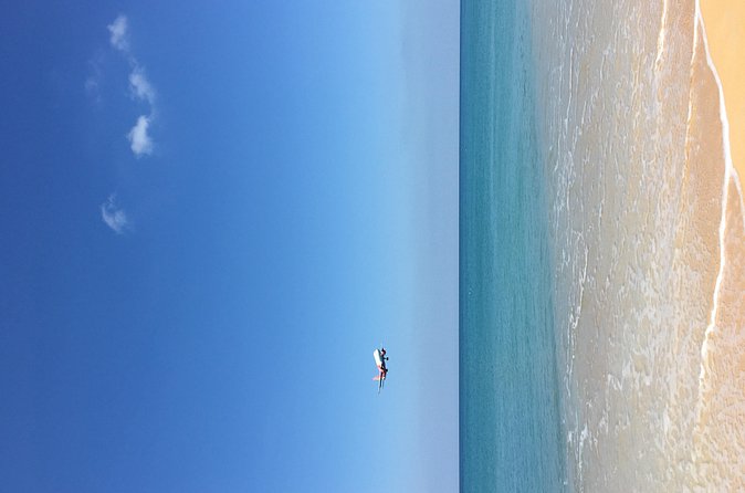 Big Buddha &Tiger Park & Monkey Hill ViewPoint & Phuket Old town - Who Is This Tour Best Suited For?