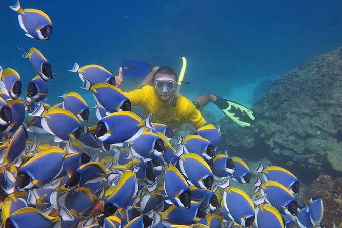 Day Trip From Phuket To Phi Phi Island By Cruise Youth - Final Thoughts: Is This Tour Worth It?