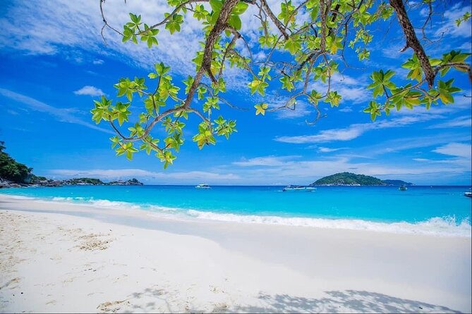 Similan Island tour by Speed boat from Phuket - What’s Included and What to Consider