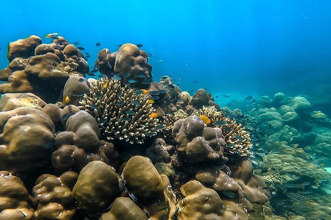 Phi Phi Islands Cruise with Lunch & Sea View Seats from Phuket - Who Is This Tour Best For?