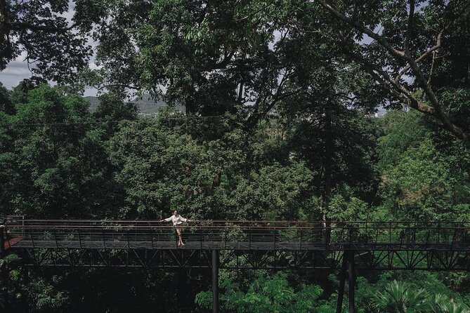 World C+ (Ziplines 10 Platforms + Roller + Sky Walk and World Set Menu ) - A Deep Dive into the Adventure