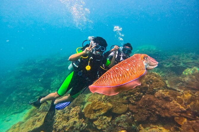 Phuket Scuba Diving Maiton Private Island Small Group or Snorkel - Good To Know