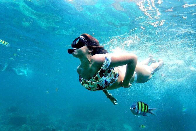 From Phuket: Phi Phi, Maya and Bamboo Islands Full Day Visit - An In-Depth Look at This Phuket Island Tour