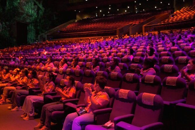 Phuket Carnival Magic Tickets with Optional Buffet Dinner - Who Would Enjoy This Tour?