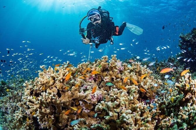 Scuba Diving Refresher(3 dives) - The Itinerary in Detail