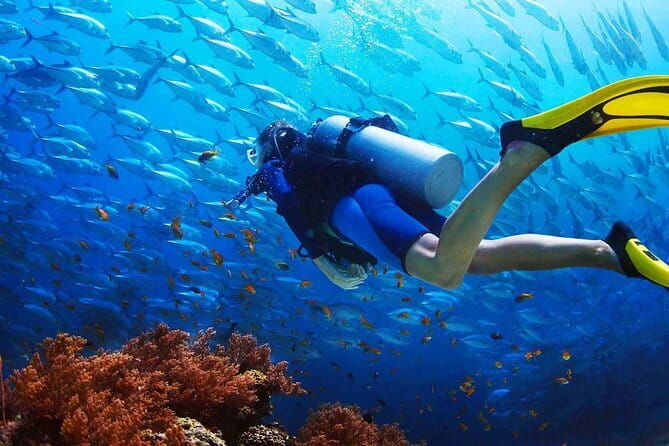 2 Fun Dives in Racha Yai or Noi for Certified Divers - Who Should Book This Tour?