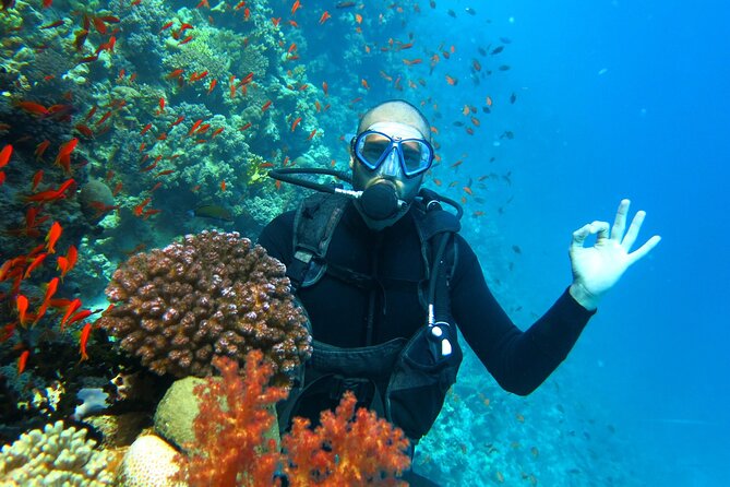 Phuket Banana Beach Relaxing Private Day Trip from Cruise Ship - Authentic Insights from Reviews  