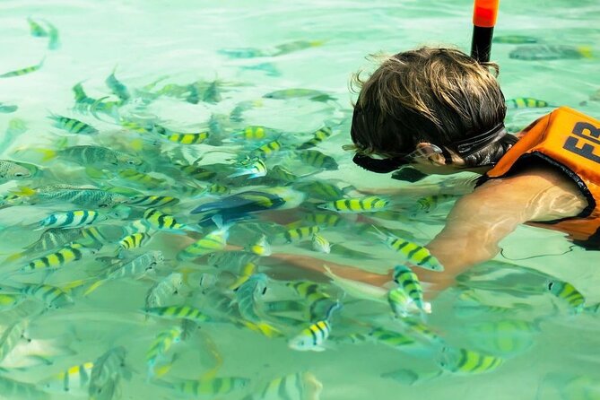 Banana Beach Snorkeling Adventure: A Day in Paradise - What the Reviews Reveal: Authentic Insights