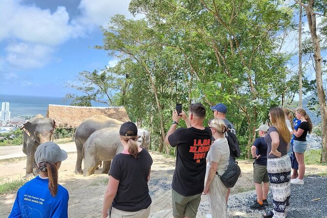Patong Highlight Elephant Sanctuary with Guide Tour - Frequently Asked Questions